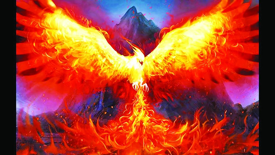 The Aspects of the Phoenix